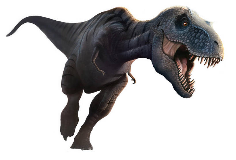 牙齿,无人,横图,插画,室内,白天,白色背景,正面,数码,科技,奔驰,阴影,锐利,网络,高光,几何,计算机图形,合成,图画,注视,画,一只,奔跑,观察,看,张嘴,恐龙,观看,电脑合成图,数码合成图,察看,锋利,尖锐,合成图,关注,尖利,凶猛,漫画,张大嘴巴,霸王龙,写实,具体,具象,犀利,厉害,灭尽,灭绝,暴龙,雷克斯暴龙,雷克斯龙,史前动物,凶残,齿,牙,牙龈,张开嘴,彩图,全身