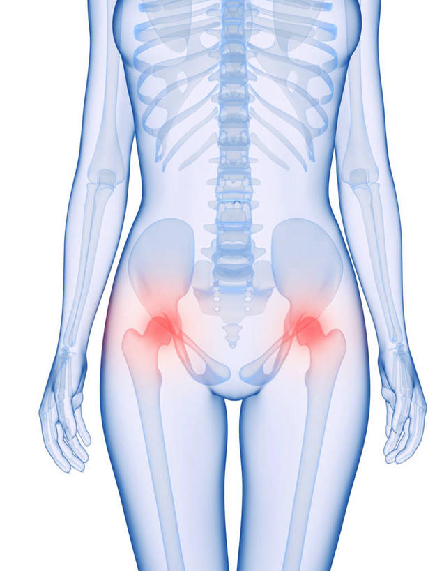 骨骼,关节,一个人,无人,站,竖图,插画,室内,白天,白色背景,正面,数码,科技,仅一个年轻女性,仅一个女性,仅一个人,阴影,网络,骨头,高光,几何,计算机图形,合成,图画,画,红色,蓝色,站着,疼痛,电脑合成图,数码合成图,骨架,疾病,合成图,漫画,写实,具体,具象,炎症,关节炎,年轻女性,女人,女性,站立,半身,彩图,发炎