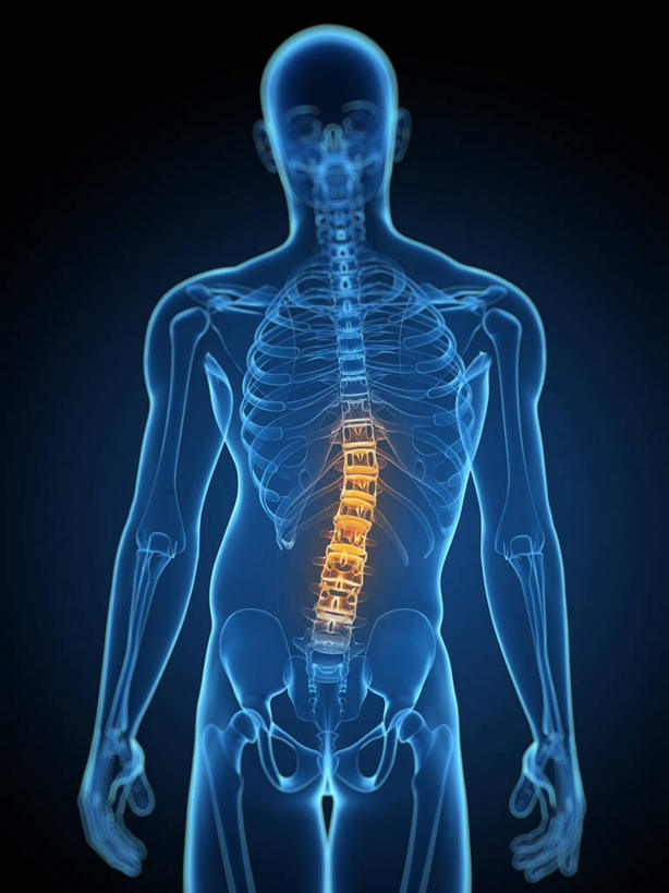 颅骨,脊髓,骨骼,一个人,无人,站,竖图,插画,室内,白天,正面,数码,科技,仅一个男性,仅一个人,阴影,黑色背景,网络,骨头,高光,几何,计算机图形,合成,图画,画,仅一个年轻男性,黄色,蓝色,站着,电脑合成图,数码合成图,骨架,疾病,合成图,漫画,写实,具体,具象,鼻骨,顶骨,额骨,颈椎,颞骨,下颌骨,颧骨,炎症,关节炎,男人,男性,年轻男性,脊柱,头盖骨,站立,半身,彩图,发炎