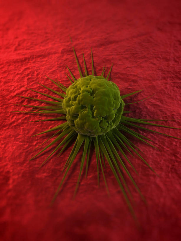 无人,竖图,插画,室内,白天,正面,数码,科技,微生物,阴影,红色背景,科学,网络,医学,细胞,高光,几何,计算机图形,合成,图画,画,一个,绿色,单个,电脑合成图,数码合成图,生物学,合成图,漫画,癌细胞,写实,具体,具象,彩图