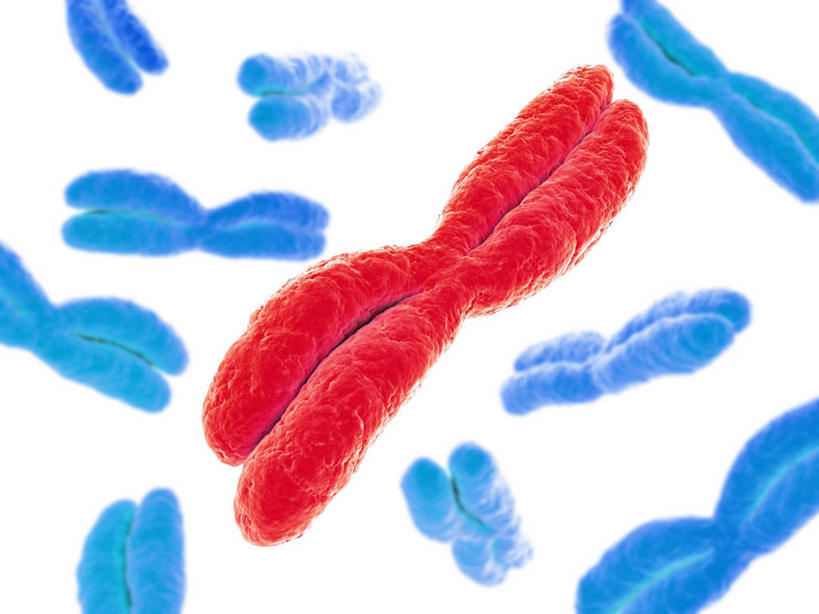 无人,横图,插画,室内,白天,白色背景,正面,数码,科技,许多,阴影,透明,科学,网络,基因,细胞核,染色体,高光,几何,计算机图形,合成,图画,画,红色,蓝色,生物,遗传,电脑合成图,数码合成图,脱氧核糖核酸,合成图,蛋白质,漫画,写实,具体,具象,理智,沉静,核糖核酸,染色质,遗传信息,遗传因子,遗传学,冷色,高深,冷淡,X染色体,性染色体,彩图