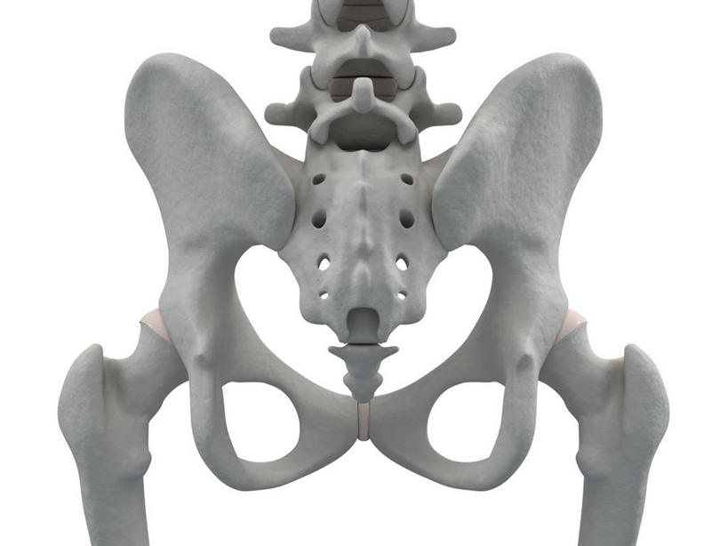 脊髓,骨骼,骨盆,无人,横图,插画,室内,特写,白天,正面,数码,科技,阴影,网络,骨头,高光,几何,计算机图形,合成,图画,画,白色,电脑合成图,数码合成图,骨架,卫生,合成图,漫画,纯真,写实,具体,具象,洁净,光明,骶骨,髋骨,尾骨,胯骨,恬静,中间色,朴素,清白,脊柱,彩图