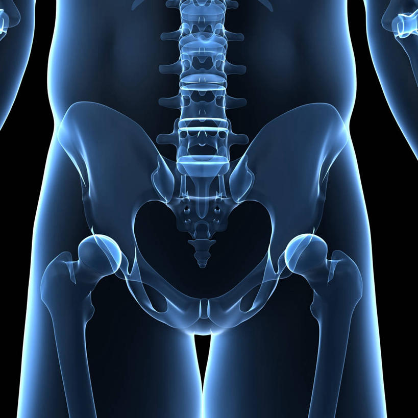 脊髓,骨骼,骨盆,无人,方图,插画,室内,白天,正面,数码,科技,阴影,透明,网络,骨头,高光,几何,计算机图形,合成,图画,画,蓝色,电脑合成图,数码合成图,骨架,合成图,漫画,写实,具体,具象,理智,沉静,骶骨,髋骨,尾骨,胯骨,冷色,高深,冷淡,脊柱,彩图