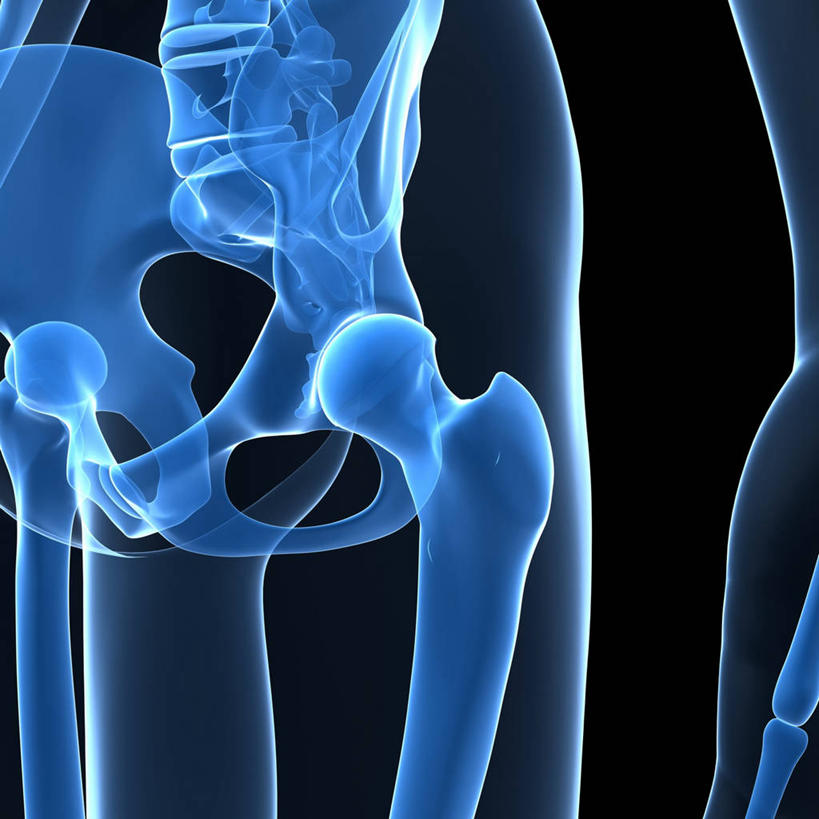 脊髓,骨骼,骨盆,无人,方图,插画,室内,白天,正面,数码,科技,阴影,透明,网络,骨头,高光,几何,计算机图形,合成,图画,画,蓝色,电脑合成图,数码合成图,骨架,合成图,漫画,写实,具体,具象,理智,沉静,骶骨,髋骨,尾骨,胯骨,冷色,高深,冷淡,脊柱,彩图