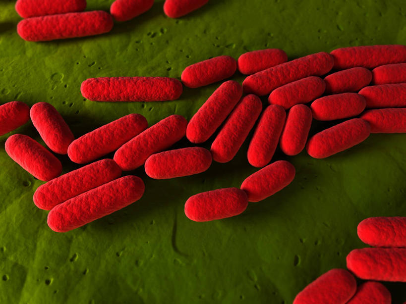 无人,横图,插画,室内,白天,正面,兴奋,热情,数码,科技,微生物,一排,许多,绿色背景,阴影,整齐,并列,并排,网络,细菌,高光,几何,计算机图形,开放,合成,图画,画,排列,红色,健康,温暖,生物,奔放,活力,积极,激情,朝气,暖色,吉祥,电脑合成图,数码合成图,生命,合成图,队列,平行,漫画,饱满,写实,具体,具象,革命,杆菌,生命体,枯草芽孢杆菌,热烈,赤色,芽孢杆菌,充实,斗志,喜气,主动,彩图,欢乐,原核生物