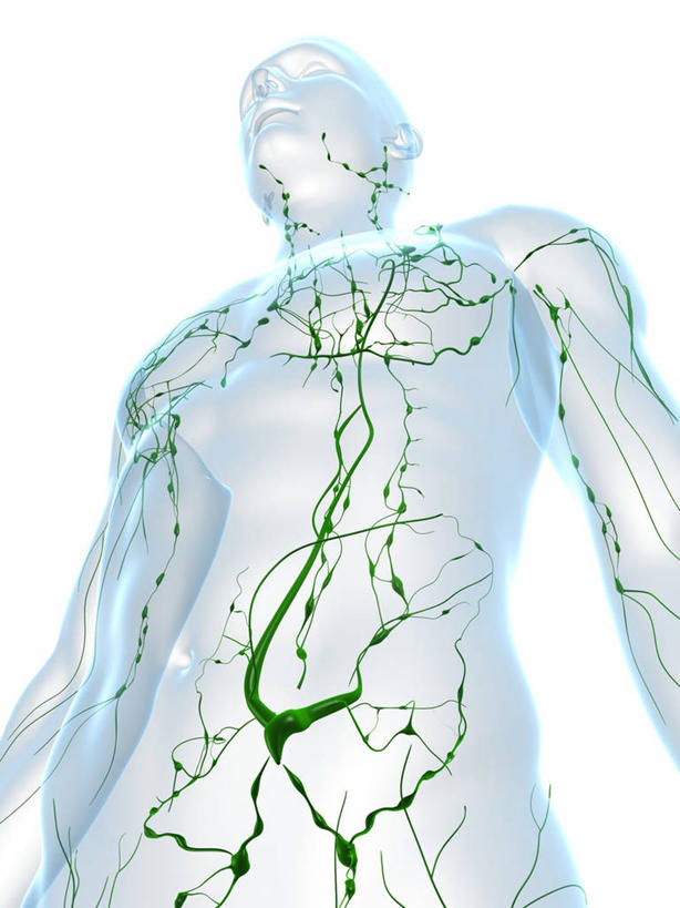 一个人,无人,站,竖图,插画,室内,白天,白色背景,正面,数码,科技,仅一个男性,仅一个人,阴影,科学,网络,纹路,纹理,高光,几何,计算机图形,合成,图画,裸露,画,仅一个年轻男性,绿色,站着,庞大,复杂,电脑合成图,数码合成图,生物学,合成图,裸,漫画,肌理,写实,具体,具象,淋巴系统,淋巴细胞,淋巴,淋巴管,淋巴液,淋巴组织,免疫系统,免疫组织,繁杂,自然科学,博物学,生物科学,男人,男性,年轻男性,站立,半身,彩图