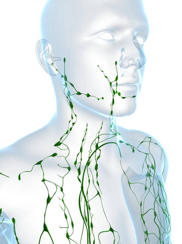 一个人,无人,站,竖图,插画,室内,白天,白色背景,正面,数码,科技,仅一个男性,仅一个人,阴影,科学,网络,纹路,纹理,高光,几何,计算机图形,合成,图画,裸露,画,仅一个年轻男性,绿色,站着,庞大,复杂,电脑合成图,数码合成图,生物学,合成图,裸,漫画,肌理,写实,具体,具象,淋巴系统,淋巴细胞,淋巴,淋巴管,淋巴液,淋巴组织,免疫系统,免疫组织,繁杂,自然科学,博物学,生物科学,男人,男性,年轻男性,站立,半身,彩图