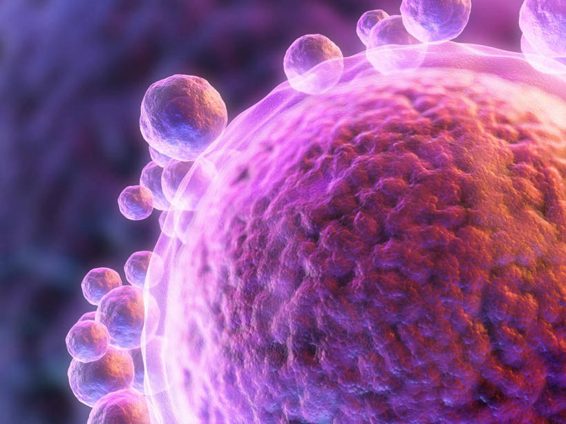 无人,横图,插画,室内,白天,正面,神秘,数码,科技,微生物,阴影,科学,网络,细胞,高光,几何,计算机图形,合成,图画,画,紫色,精子,电脑合成图,数码合成图,生物学,优美,庄重,合成图,高贵,消极,卵子,漫画,卵细胞,写实,具体,具象,生殖细胞,冷色,自然科学,单倍体生殖细胞,雄配子,雄性生殖细胞,雄性细胞,博物学,生物科学,孤寂,彩图,受精卵,奢华