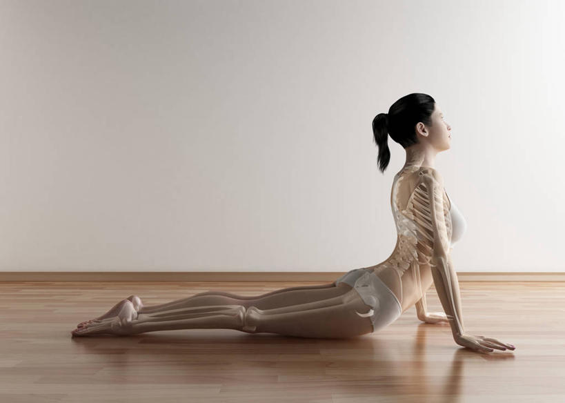 脊髓,骨骼,一个人,无人,闭眼,横图,插画,室内,白天,侧面,锻炼,瑜伽,运动,数码,科技,地板,仅一个年轻女性,仅一个女性,仅一个人,撑,阴影,内裤,内衣,短裤,网络,墙,骨头,地面,高光,几何,计算机图形,合成,图画,光脚,木地板,墙壁,墙面,画,黄色,趴着,赤脚,胸罩,文胸,养生,三角裤,电脑合成图,数码合成图,骨架,撑着,合成图,漫画,写实,具体,具象,乳罩,胸衣,体育,年轻女性,女人,女性,脊柱,闭眼睛,闭着眼,闭着眼睛,趴,彩图,全身,健身,三角内裤