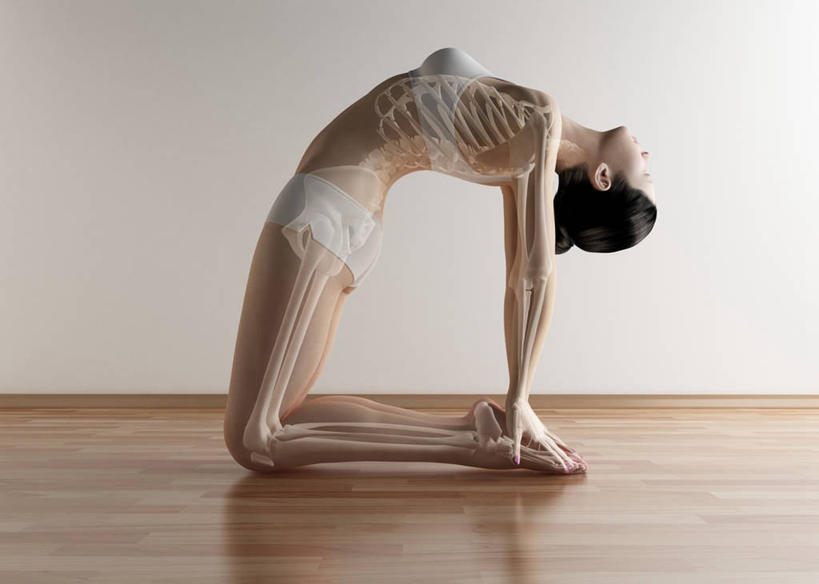 脊髓,骨骼,一个人,无人,跪,横图,插画,室内,白天,侧面,锻炼,瑜伽,运动,数码,科技,地板,仅一个年轻女性,仅一个女性,仅一个人,阴影,内裤,内衣,短裤,网络,墙,骨头,地面,高光,几何,计算机图形,合成,图画,光脚,木地板,墙壁,墙面,画,黄色,赤脚,胸罩,文胸,养生,三角裤,电脑合成图,数码合成图,骨架,合成图,漫画,写实,具体,具象,乳罩,胸衣,体育,年轻女性,女人,女性,脊柱,跪着,抬头,仰头,彩图,全身,健身,三角内裤