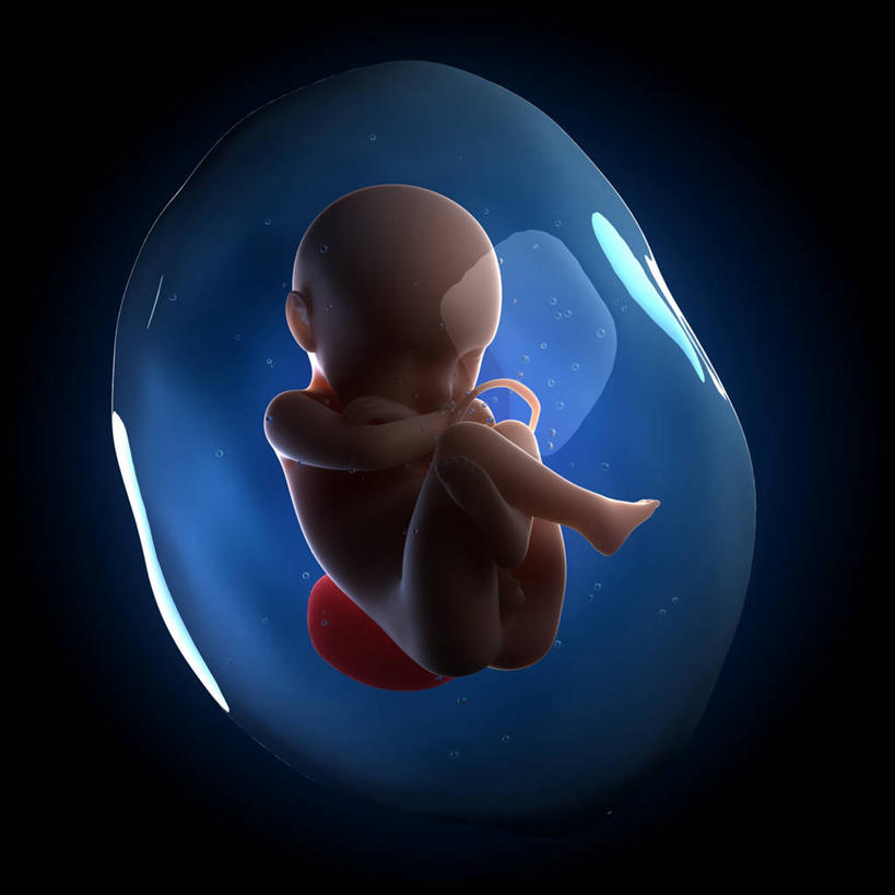 婴儿,儿童,一个人,无人,闭眼,方图,插画,室内,白天,正面,纯洁,数码,科技,仅一个人,连接,阴影,黑色背景,网络,高光,几何,计算机图形,合成,图画,裸露,画,小孩,可爱,活泼,生长,成长,赤裸,链接,电脑合成图,数码合成图,胎儿,发育,脐带,合成图,宝宝,裸,漫画,孕育,纯真,烂漫,无邪,写实,具体,具象,链结,管状结构,伶俐,天真,孩子,闭眼睛,闭着眼,闭着眼睛,彩图,全身,胚胎