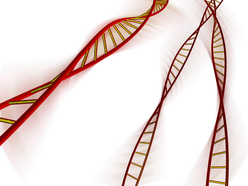 无人,横图,插画,室内,白天,白色背景,正面,数码,科技,阴影,曲折,科学,网络,基因,高光,几何,计算机图形,扭曲,合成,图画,画,三个,生物,盘曲,遗传,电脑合成图,数码合成图,脱氧核糖核酸,漫画,写实,具体,具象,DNA分子,去氧核糖核酸,遗传信息,遗传因子,遗传学,波折,坎坷,崎岖,迂回,彩图