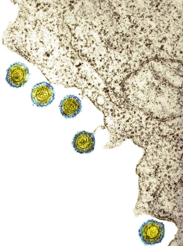 无人,竖图,插画,室内,白天,白色背景,正面,数码,仪器,科技,微生物,阴影,检查,反射,分析,科学,网络,医学,细胞,显微镜,高光,几何,计算机图形,合成,图画,画,观察,生物,清晰,探索,放大,观看,仔细,电脑合成图,数码合成图,透镜,医疗,病毒,生物学,凸透镜,聚焦,关注,漫画,写实,具体,具象,光学,清楚,寄生,生命体,生物病毒,彩图,白血细胞