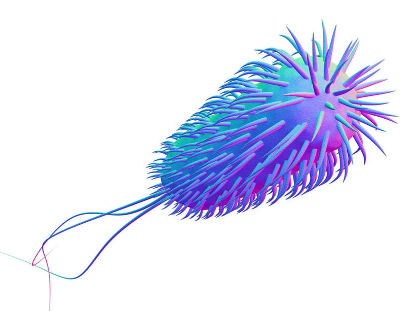 无人,横图,插画,室内,白天,白色背景,正面,数码,科技,微生物,阴影,网络,细菌,高光,几何,计算机图形,合成,图画,画,一个,单个,电脑合成图,数码合成图,漫画,写实,具体,具象,生命体,大肠杆菌,大肠埃希氏菌,肠道菌群,彩图