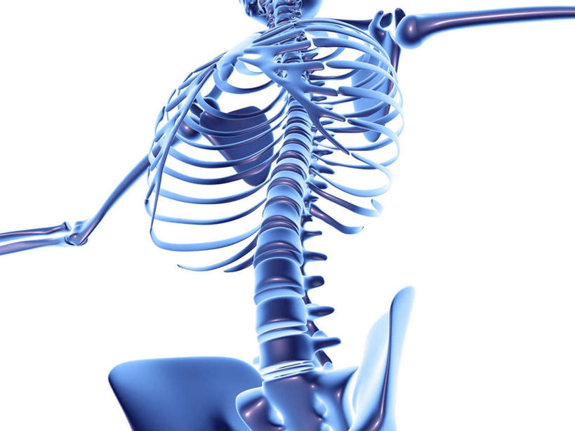 肋骨,骨盆,一个人,无人,站,横图,插画,室内,白天,白色背景,正面,数码,科技,仅一个人,阴影,网络,高光,几何,计算机图形,合成,图画,画,站着,电脑合成图,数码合成图,漫画,写实,具体,具象,股骨,髋骨,桡骨,站立,彩图