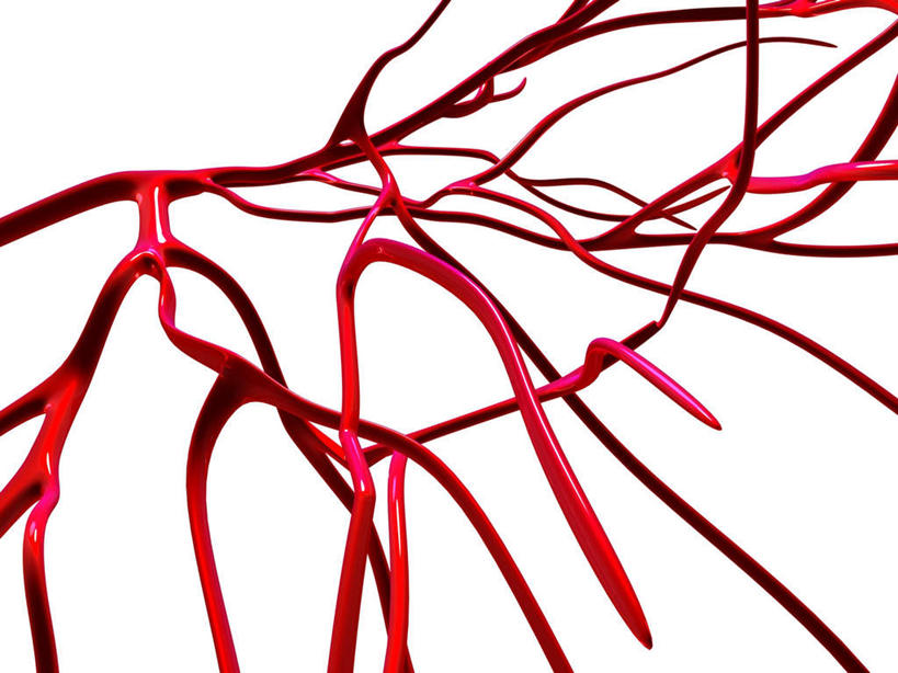 血管,无人,横图,插画,室内,白天,白色背景,正面,数码,科技,许多,阴影,网络,很多,高光,几何,计算机图形,合成,图画,画,红色,复杂,电脑合成图,数码合成图,漫画,写实,具体,具象,庞杂,繁杂,冗杂,彩图