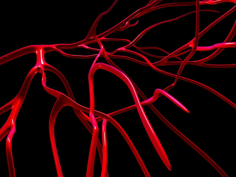 动脉,血管,无人,横图,插画,室内,白天,正面,数码,科技,静物,阴影,黑色背景,网络,医学,线条,高光,几何,计算机图形,合成,图画,画,排列,红色,分叉,夸张,人体,生长,经脉,脉络,发射,电脑合成图,数码合成图,生物学,伸长,漫画,生理学,写实,具体,具象,摆列,彩图,布列,分列