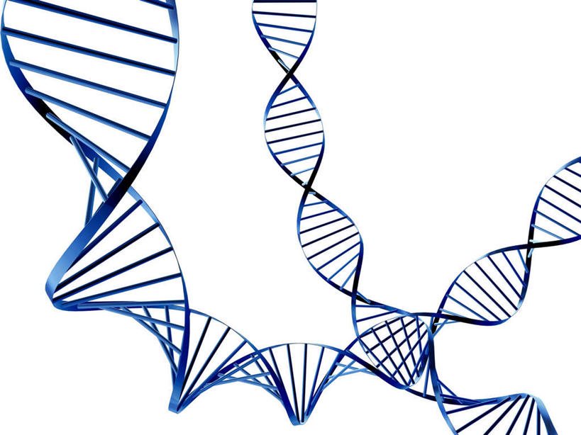 无人,横图,插画,室内,白天,白色背景,正面,数码,科技,阴影,曲折,科学,网络,基因,线条,高光,几何,计算机图形,扭曲,合成,图画,画,生物,盘曲,遗传,电脑合成图,数码合成图,脱氧核糖核酸,漫画,写实,具体,具象,DNA分子,去氧核糖核酸,遗传信息,遗传因子,遗传学,波折,坎坷,崎岖,迂回,彩图