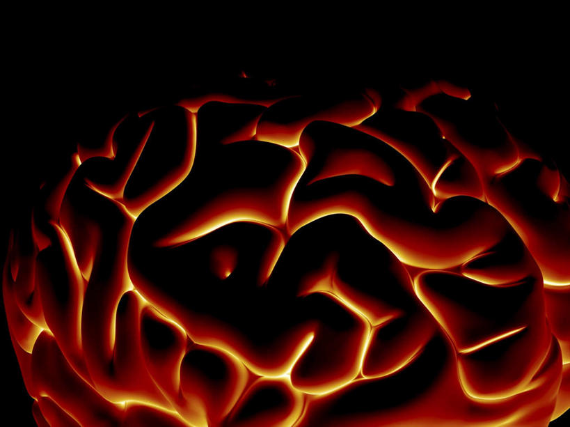 无人,横图,室内,特写,白天,正面,数码,科技,大脑,阴影,黑色背景,发光,网络,高光,几何,计算机图形,合成,红色,电脑合成图,数码合成图,器官,沟壑,小脑,脑干,写实,具体,具象,大脑皮层,端脑,沟,灰质,回,间脑,中枢神经系统,彩图,神经系统