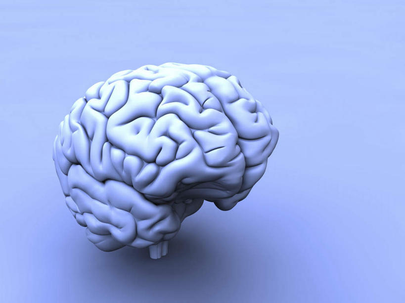 无人,横图,室内,特写,白天,正面,数码,科技,大脑,阴影,蓝色背景,网络,高光,几何,计算机图形,合成,电脑合成图,数码合成图,器官,沟壑,小脑,脑干,写实,具体,具象,大脑皮层,端脑,沟,灰质,回,间脑,中枢神经系统,彩图,神经系统