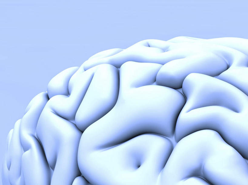 无人,横图,室内,特写,白天,正面,数码,科技,大脑,阴影,蓝色背景,网络,高光,几何,计算机图形,合成,电脑合成图,数码合成图,器官,沟壑,小脑,脑干,写实,具体,具象,大脑皮层,端脑,沟,灰质,回,间脑,中枢神经系统,彩图,神经系统