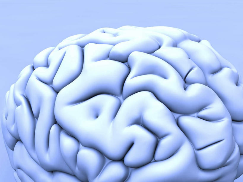 无人,横图,室内,特写,白天,正面,数码,科技,大脑,阴影,蓝色背景,网络,高光,几何,计算机图形,合成,电脑合成图,数码合成图,器官,沟壑,小脑,脑干,写实,具体,具象,大脑皮层,端脑,沟,灰质,回,间脑,中枢神经系统,彩图,神经系统