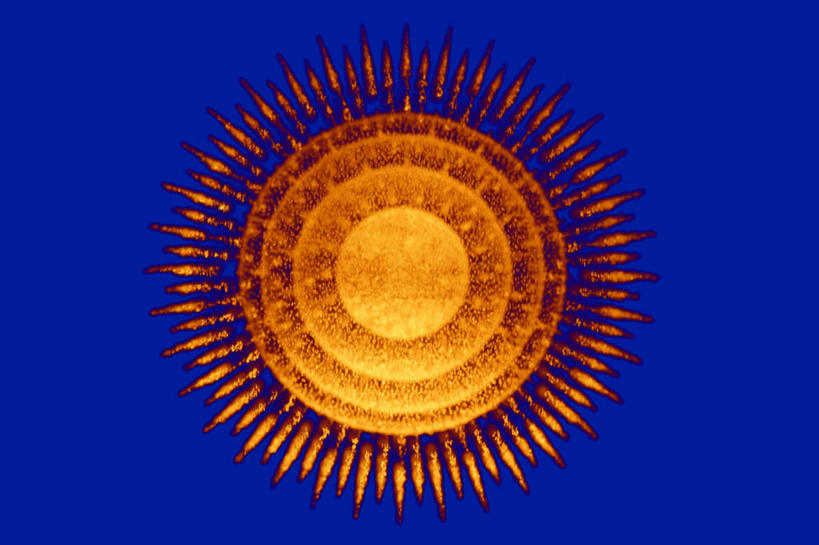 无人,横图,插画,室内,特写,白天,正面,数码,科技,微生物,阴影,蓝色背景,网络,医学,圆形,高光,几何,计算机图形,放射,合成,图画,画,橙色,生物,喷射,电脑合成图,数码合成图,医疗,病毒,生物学,漫画,写实,具体,具象,寄生,生命体,生物病毒,彩图