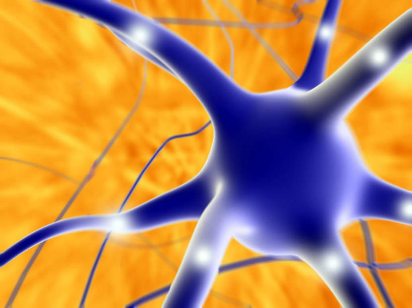 神经,无人,横图,插画,室内,特写,白天,正面,数码,科技,静物,阴影,黄色背景,网络,医学,细胞,高光,几何,计算机图形,合成,图画,画,一个,蓝色,人体,单个,电脑合成图,数码合成图,生物学,漫画,生理学,写实,具体,具象,神经细胞,神经末梢,彩图,神经系统