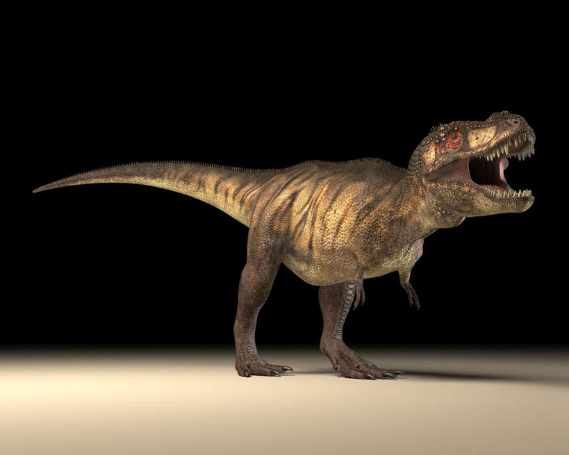 无人,站,横图,插画,室内,白天,侧面,数码,科技,阴影,黑色背景,网络,高光,几何,计算机图形,合成,图画,画,一只,站着,张嘴,恐龙,电脑合成图,数码合成图,凶猛,漫画,张大嘴巴,霸王龙,写实,具体,具象,灭尽,灭绝,暴龙,雷克斯暴龙,雷克斯龙,史前动物,凶残,张开嘴,站立,彩图,全身