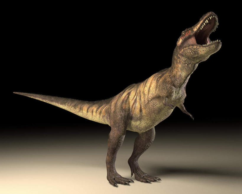 无人,站,横图,插画,室内,白天,侧面,数码,科技,阴影,黑色背景,网络,高光,几何,计算机图形,合成,图画,画,一只,站着,张嘴,恐龙,电脑合成图,数码合成图,凶猛,漫画,张大嘴巴,霸王龙,写实,具体,具象,灭尽,灭绝,暴龙,雷克斯暴龙,雷克斯龙,史前动物,凶残,张开嘴,站立,彩图,全身