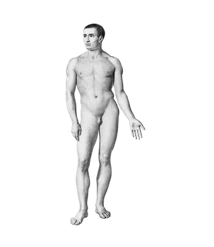 西方人,一个人,无人,站,竖图,黑白,插画,室内,白天,白色背景,正面,数码,科技,欧洲,欧洲人,仅一个男性,仅一个人,阴影,网络,高光,几何,计算机图形,合成,图画,扭头,注视,裸露,画,仅一个年轻男性,灰色,模型,观察,看,站着,转头,躯干,赤裸,观看,电脑合成图,数码合成图,察看,关注,裸,漫画,写实,具体,具象,躯体,模子,男人,男性,年轻男性,白种人,站立,全身