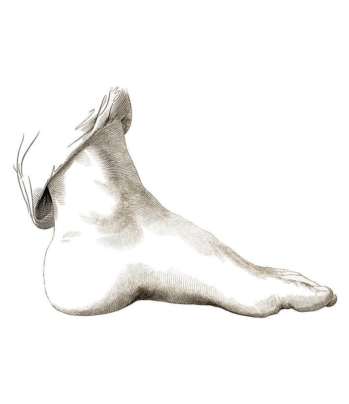 腿部,脚,脚趾,脚趾甲,腿,无人,竖图,插画,室内,白天,白色背景,正面,数码,科技,阴影,网络,高光,几何,计算机图形,合成,图画,画,一只,灰色,模型,躯干,电脑合成图,数码合成图,漫画,写实,具体,具象,躯体,模子,脚指甲,半身,彩图