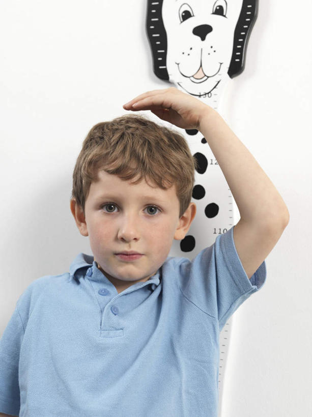 西方人,儿童,一个人,站,举,竖图,室内,白天,白色背景,正面,纯洁,仪器,宠物,狗,欧洲,欧洲人,仅一个男性,仅一个人,服装,测量,注视,休闲装,小孩,衣服,动物,观察,看,托,站着,仅一个小孩,休闲,休闲服,卡通,可爱,童年,童趣,摄影,服饰,影棚,观看,察看,关注,童真,烂漫,无邪,忠诚,身高,丈量,天真,男孩,男人,男性,白种人,孩子,犬,举起,举手,举着,向上举,向上伸,向上托,站立,半身,彩图,影棚拍摄,拍摄,男生