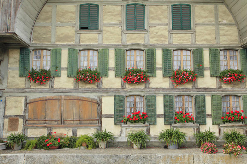 无人,家,横图,室外,白天,正面,旅游,度假,美景,植物,窗户,城市风光,城市,建筑,瑞士,欧洲,阴影,盛开,光线,盆栽,影子,房屋,墙,屋子,景观,公寓,盆景,花蕾,娱乐,建设,洋房,楼房,玻璃窗,墙壁,墙面,住宅,花,花瓣,花朵,鲜花,红色,绿色,阳光,自然,花苞,花蕊,享受,休闲,景色,放松,生长,成长,中欧,首府,巴塞尔,瑞士联邦,巴塞尔城市州,彩图,房子