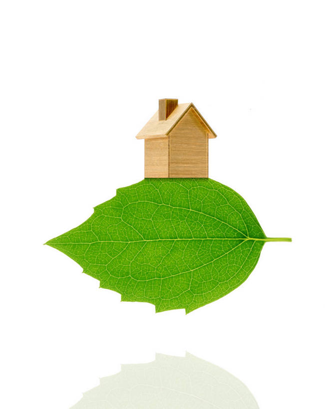 无人,竖图,室内,特写,白天,白色背景,正面,植物,叶子,一片,一座,阴影,立体,反射,空间,木制,纹理,影子,绿叶,绿色,模型,木制品,嫩叶,规划,摄影,影棚,肌理,直观,建筑模型,建筑设计,设计,叶,叶片,叶脉,彩图,影棚拍摄,拍摄