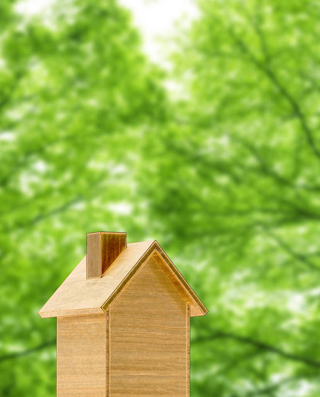 无人,竖图,室外,特写,白天,正面,美景,树林,植物,一座,阴影,朦胧,模糊,立体,光线,空间,木制,影子,景观,树,树木,绿色,阳光,自然,模型,木制品,景色,规划,生长,成长,自然风光,直观,建筑模型,建筑设计,设计,彩图