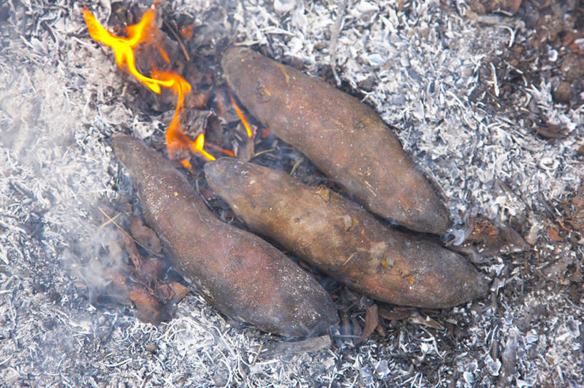 无人,横图,俯视,室外,特写,白天,热情,红薯,火,火焰,燃烧,小吃,三个,篝火,山芋,甘薯,番薯,地瓜,彩图,高角度拍摄,烘山芋,烤白薯,烤地瓜,烤番薯,烤红薯,煨番薯,营火