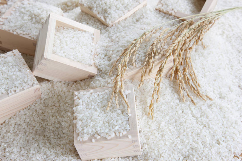 无人,横图,俯视,室内,特写,白天,农作物,小麦,一堆,许多,阴影,堆叠,堆积,反射,木制,木盒,影子,谷类,谷物,米,很多,大米,木制品,容器,麦子,储藏,堆,储存,彩图,高角度拍摄,贮存