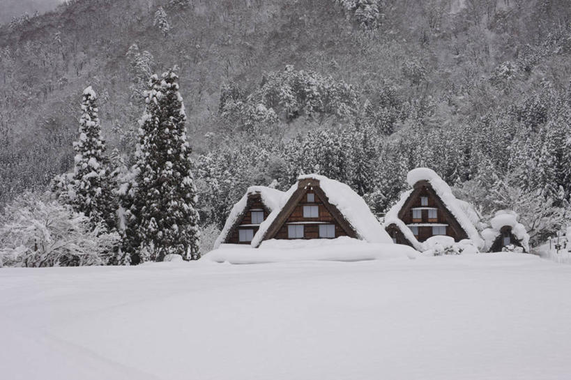 无人,家,木屋,横图,黑白,室外,白天,正面,旅游,度假,美景,山,山脉,树林,雪,植物,大雪,日本,亚洲,积雪,景观,山峰,雪景,冬季,冬天,山峦,娱乐,住宅,树,树木,绿色,自然,群山,享受,休闲,景色,放松,寒冷,生长,成长,自然风光,东亚,本州,本州岛,日本国,中部地方,岐阜,岐阜县,严寒,茅舍,茅屋,棚屋,小木屋,小屋,大野郡,白川村