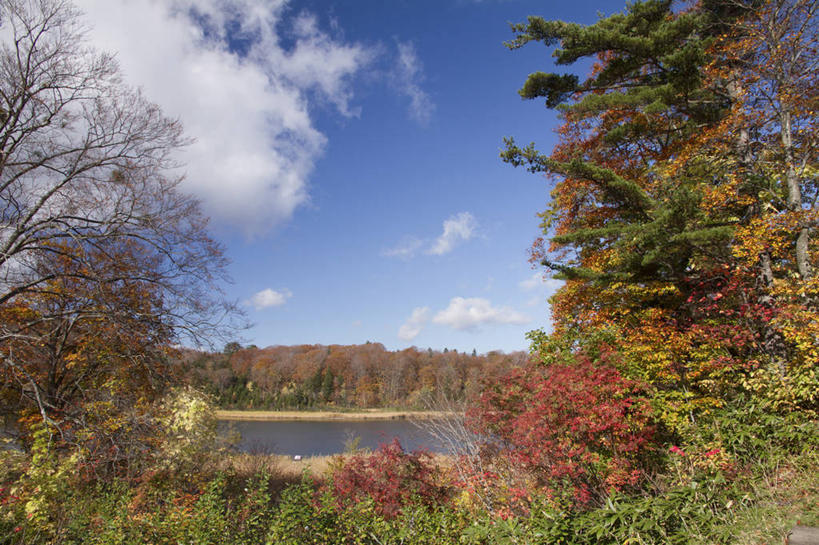 无人,横图,室外,白天,正面,仰视,旅游,度假,草地,草坪,湖,湖泊,美景,秋季,山,山脉,树林,水,植物,秋田县,日本,亚洲,湖面,景观,山峰,水流,水面,云,云朵,山峦,云彩,娱乐,草,树,树木,蓝色,绿色,白云,蓝天,天空,自然,湖水,群山,天,享受,休闲,景色,放松,生长,晴朗,成长,自然风光,东亚,本州,本州岛,日本国,秋田,东北地方,八幡平,晴空,秋,秋天,彩图,低角度拍摄,鹿角郡