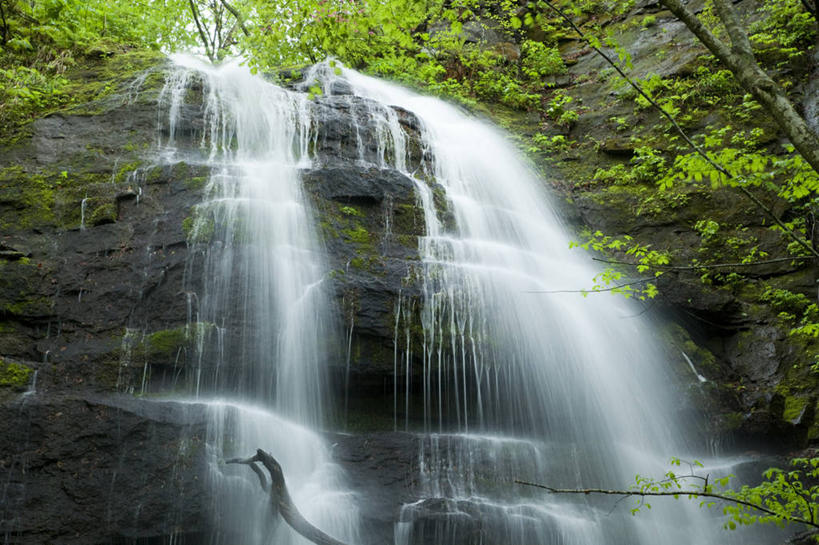 无人,横图,室外,白天,仰视,旅游,度假,石头,美景,瀑布,树林,水,峡谷,植物,日本,亚洲,阴影,飞溅,溅,光线,石子,液体,影子,景观,水滴,山谷,娱乐,水珠,树,树木,绿色,阳光,自然,享受,休闲,景色,放松,生长,成长,岩层,喷洒,自然风光,东亚,本州,本州岛,日本国,青森,青森县,东北地方,奥入濑町,奥入濑溪流,跌水,石块,岩石,彩图,低角度拍摄,上北郡
