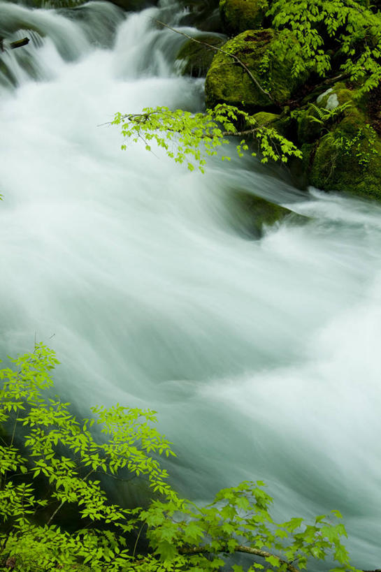 无人,竖图,俯视,室外,白天,旅游,度假,河流,石头,美景,树林,水,峡谷,植物,日本,亚洲,飞溅,溅,石子,液体,河水,景观,水滴,水流,山谷,娱乐,水珠,树,树木,绿色,小溪,自然,溪水,享受,休闲,景色,放松,生长,成长,岩层,喷洒,自然风光,东亚,本州,本州岛,日本国,青森,青森县,东北地方,奥入濑町,奥入濑溪流,石块,岩石,彩图,高角度拍摄,上北郡