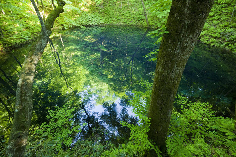 无人,公园,横图,俯视,室外,白天,旅游,度假,湖,湖泊,美景,森林,树林,水,植物,日本,亚洲,阴影,光线,影子,湖面,景观,水流,水面,娱乐,树,树木,绿色,倒影,阳光,自然,湖水,享受,休闲,景色,放松,生长,成长,倒映,自然风光,东亚,本州,本州岛,日本国,青森,青森县,东北地方,反照,彩图,高角度拍摄,国定公园,津轻国定公园,准国家公园