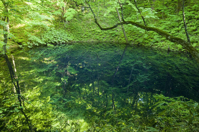 无人,公园,横图,俯视,室外,白天,旅游,度假,湖,湖泊,美景,森林,树林,水,植物,日本,亚洲,阴影,光线,影子,湖面,景观,水流,水面,娱乐,树,树木,绿色,倒影,阳光,自然,湖水,享受,休闲,景色,放松,生长,成长,倒映,自然风光,东亚,本州,本州岛,日本国,青森,青森县,东北地方,反照,彩图,高角度拍摄,国定公园,津轻国定公园,准国家公园