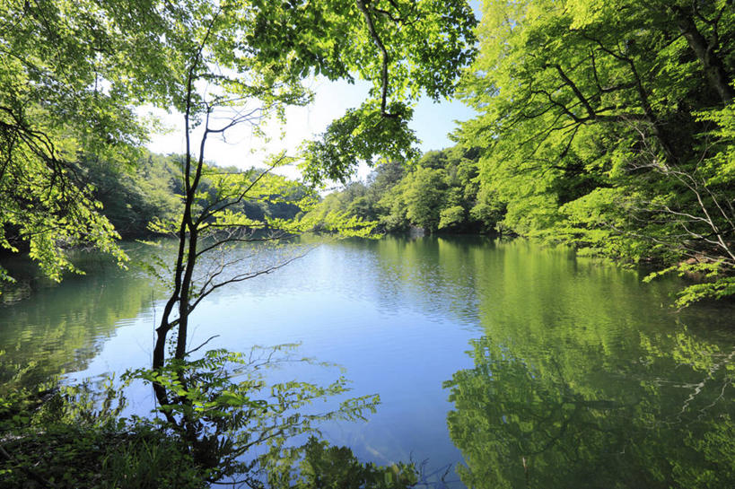 无人,公园,横图,室外,白天,正面,旅游,度假,湖,湖泊,美景,树林,水,植物,日本,亚洲,阴影,光线,影子,湖面,景观,水流,水面,娱乐,树,树木,蓝色,绿色,蓝天,天空,阳光,自然,湖水,天,享受,休闲,景色,放松,生长,晴朗,成长,自然风光,东亚,本州,万里无云,本州岛,日本国,青森,青森县,东北地方,晴空,晴空万里,彩图,国定公园,津轻国定公园,准国家公园