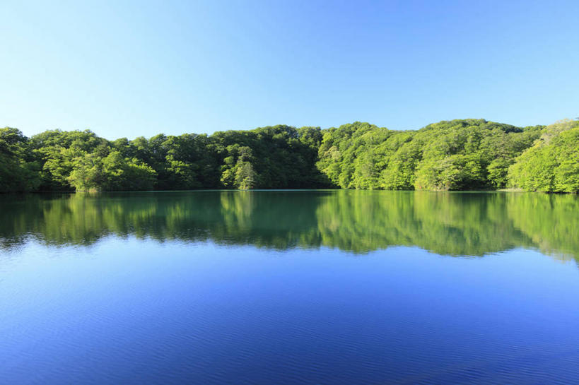 无人,公园,横图,室外,白天,正面,旅游,度假,湖,湖泊,美景,树林,水,植物,日本,亚洲,阴影,光线,影子,湖面,景观,水流,水面,娱乐,树,树木,蓝色,绿色,蓝天,天空,阳光,自然,湖水,天,享受,休闲,景色,放松,生长,晴朗,成长,自然风光,东亚,本州,万里无云,本州岛,日本国,青森,青森县,东北地方,晴空,晴空万里,彩图,国定公园,津轻国定公园,准国家公园