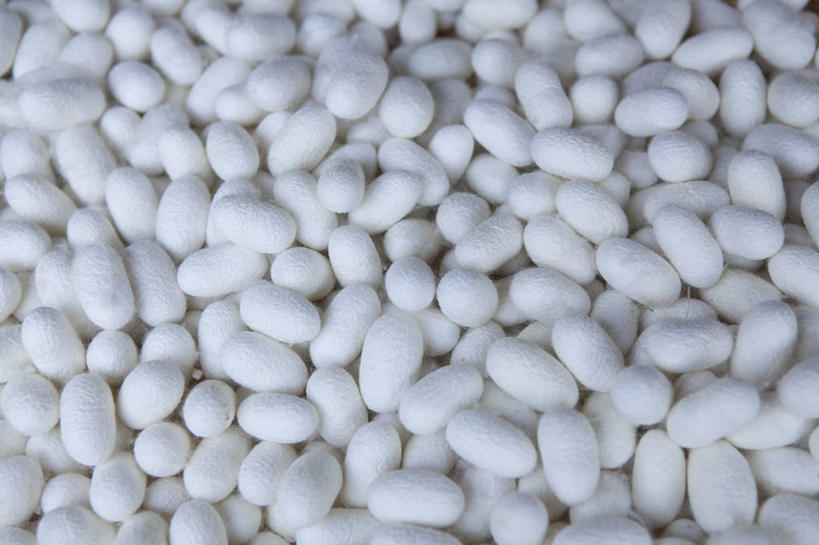 无人,横图,俯视,室内,特写,白天,一堆,许多,阴影,堆叠,堆积,光线,影子,白色,阳光,堆,卫生,纯真,洁净,光明,恬静,中间色,朴素,清白,蚕茧,家蚕茧,桑蚕茧,彩图,高角度拍摄