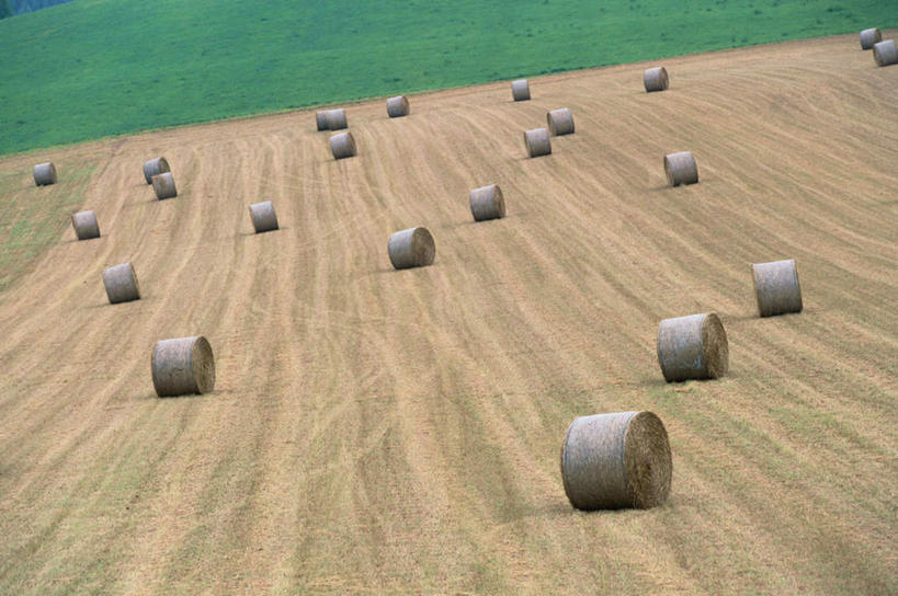 无人,农田,横图,室内,白天,正面,旅游,度假,庄稼,美景,植物,许多,枯萎,景观,干草,枯草,娱乐,草,排列,黄色,自然,草垛,享受,休闲,景色,放松,队列,自然风光,圆柱形,干草垛,彩图,耕地,庄稼田