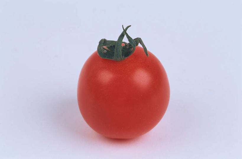 无人,横图,俯视,室内,特写,白天,白色背景,桌面,桌子,蔬菜,西红柿,新鲜,食品,食物,一个,红色,摄影,有机食品,绿色食品,影棚,单个,樱桃番茄,圣女果,番茄,彩图,高角度拍摄,影棚拍摄,拍摄