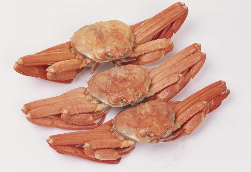 海鲜,蟹,无人,横图,俯视,室内,特写,白天,白色背景,桌面,桌子,一排,整齐,螃蟹,食品,帝王蟹,水产,食物,排列,三个,摄影,影棚,队列,海产品,皇帝蟹,彩图,高角度拍摄,全身,影棚拍摄,拍摄